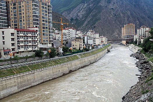 hôm nay bạch thủ con gì