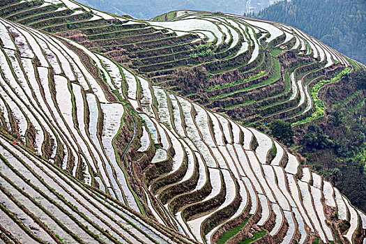 xsmn thu nam