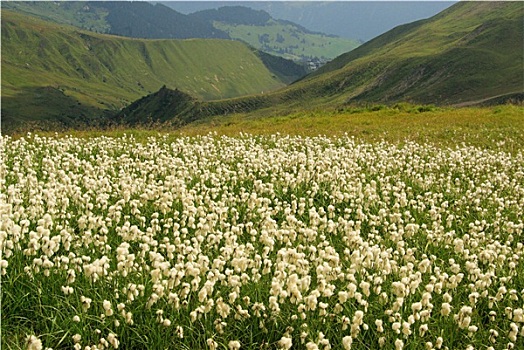 du doan kqxs binh dinh