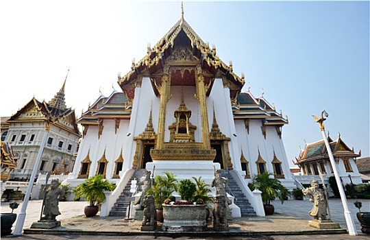 soi cau bach thu lo khung 3 ngay