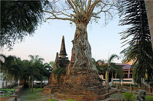 du doan lo