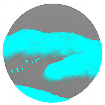 xs24h