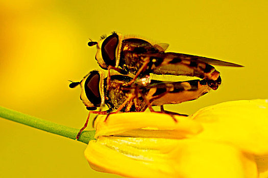 xsmb trưc tiêp