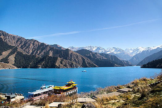 cau lo bach thu khung 3 ngay