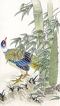 bach thu khung 3 ngay