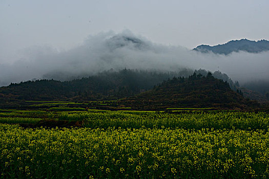 xổ số vĩnh