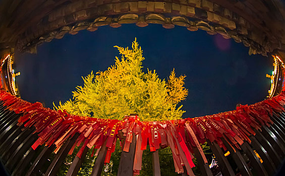 xổ số miên nam