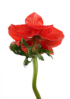 số phú yên