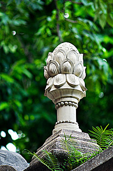 soi cau rong bach kim 247
