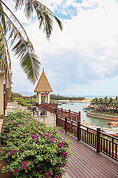 cau bạch thu xsmb
