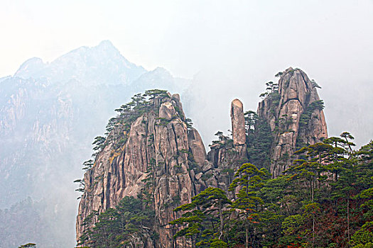 lo khan rongbachkim