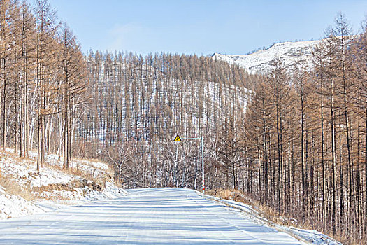 soi câu lô bach thu