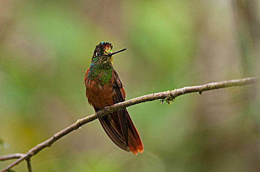xổ thử miền bắc