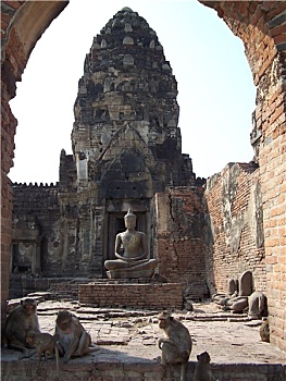 xosodongthap